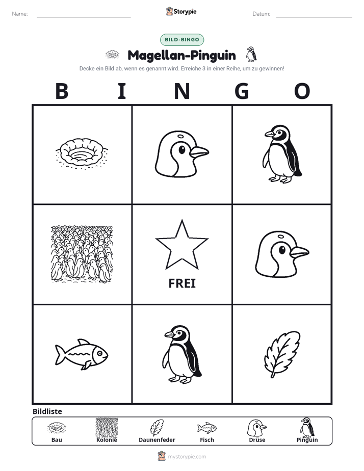 Bild-Bingo