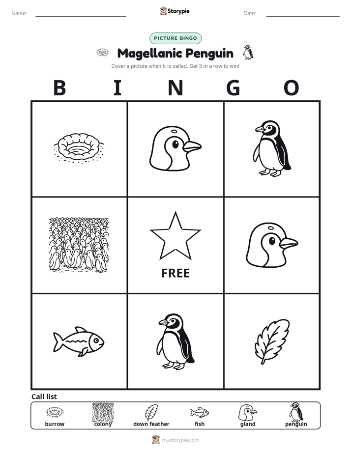 Picture Bingo