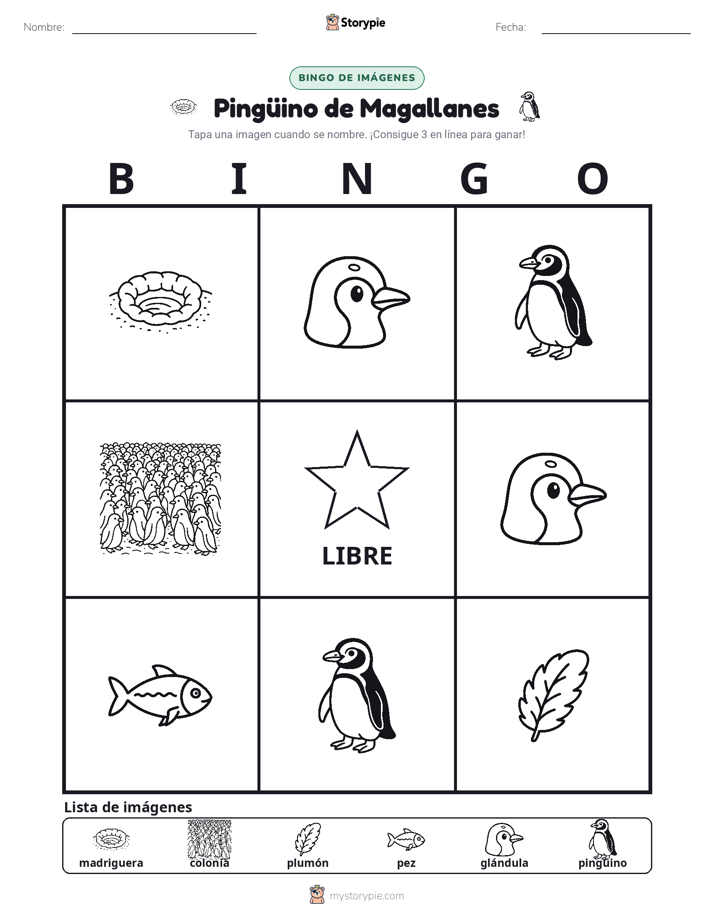 Bingo de Imágenes