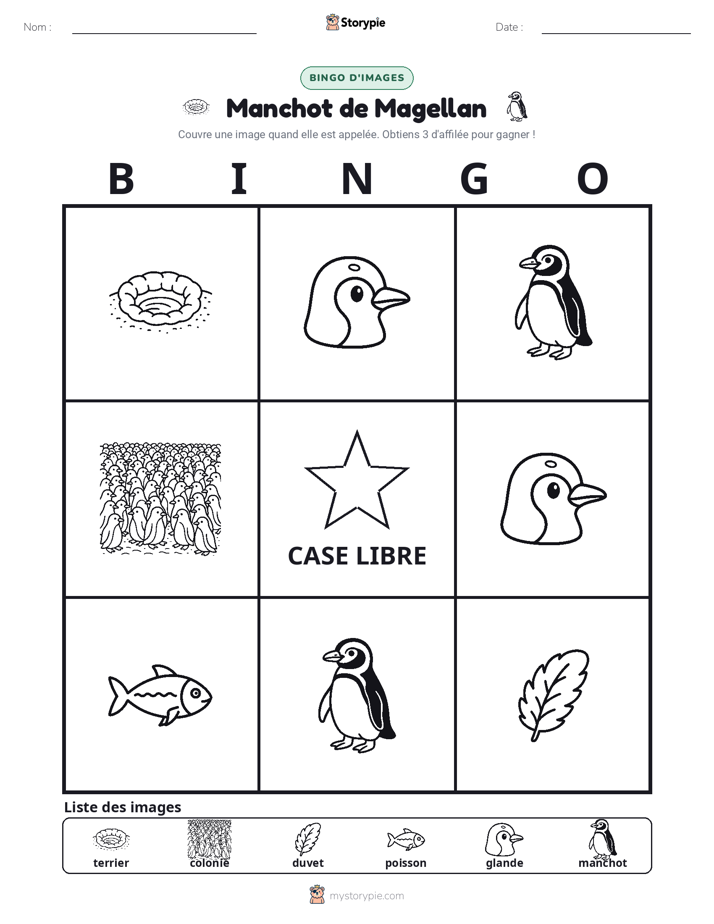 Bingo d'Images