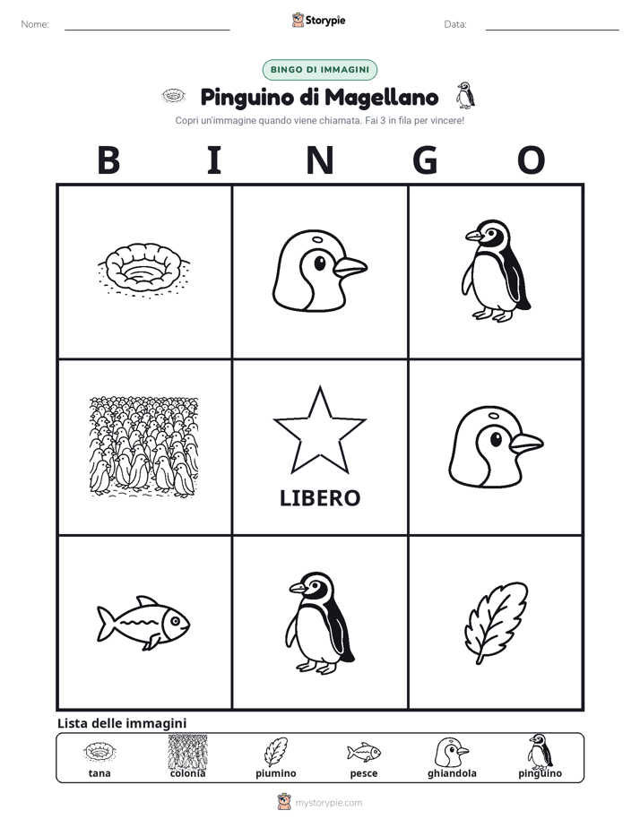Bingo delle Immagini