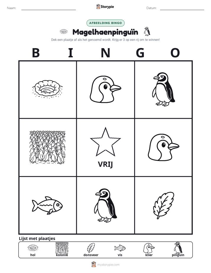 Afbeelding Bingo