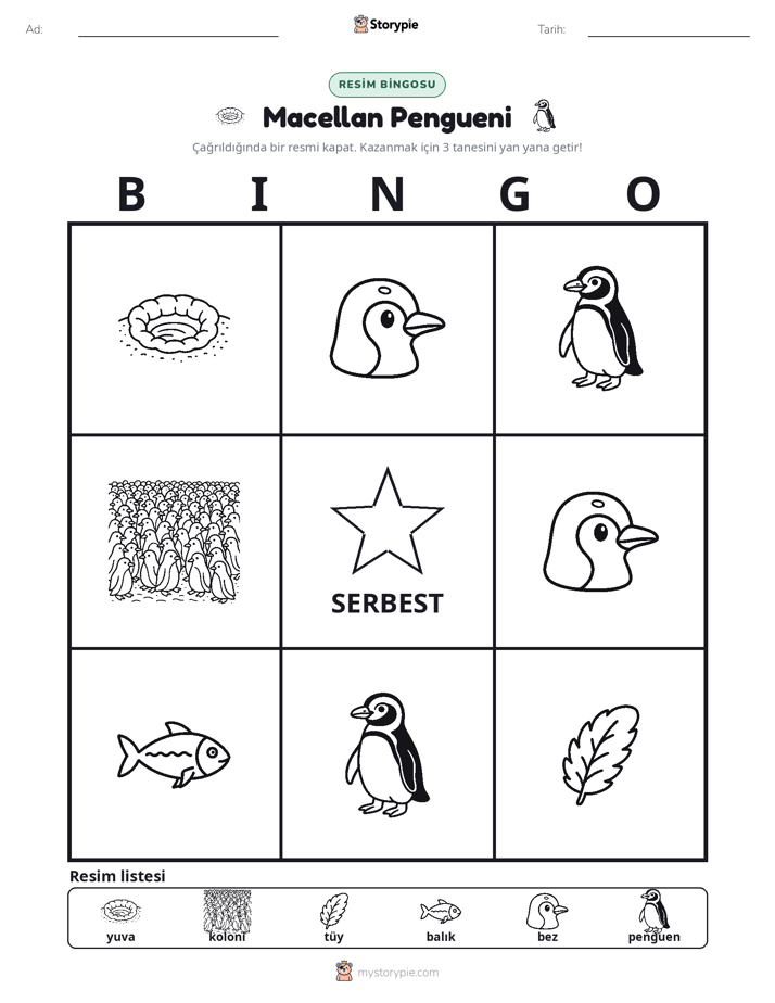 Resim Bingo