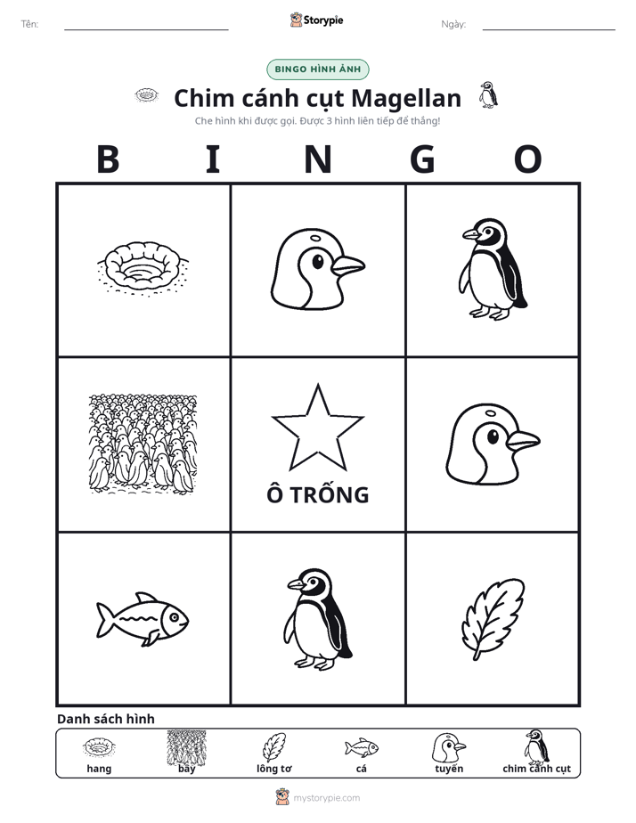 Bingo Hình Ảnh