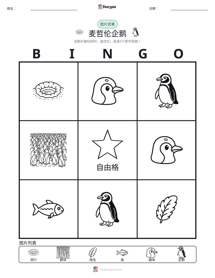 图片宾果