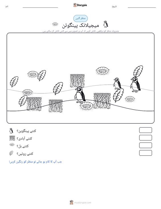 گنتی کا منظر