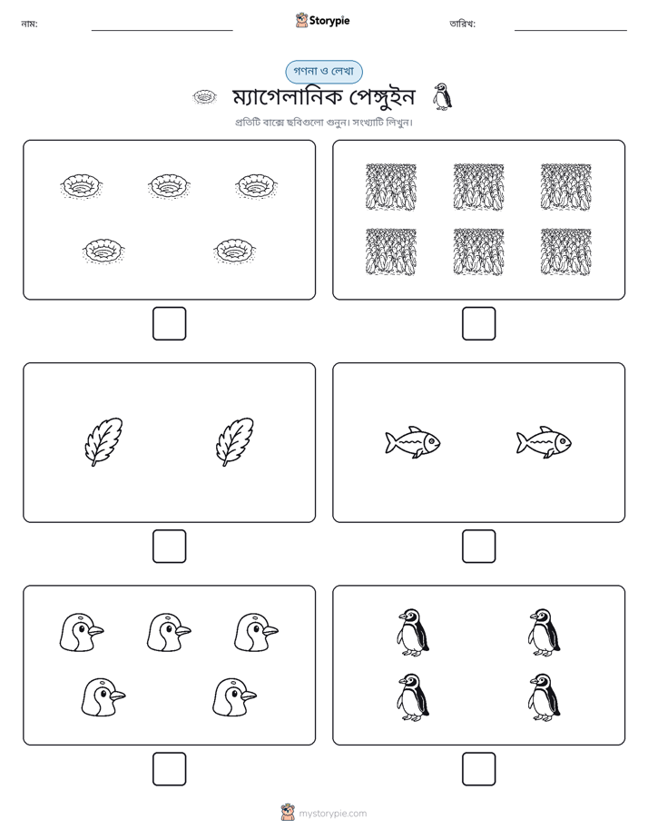 গণনা & লিখুন