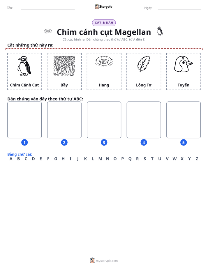 Cắt & Dán Chữ Cái