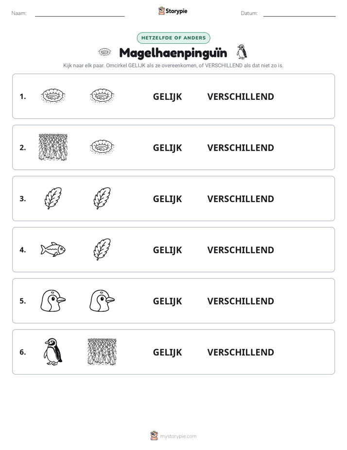 Zelfde of Verschillend