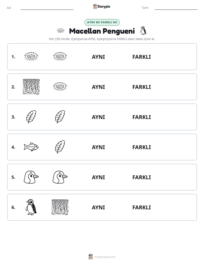 Aynı mı Farklı mı