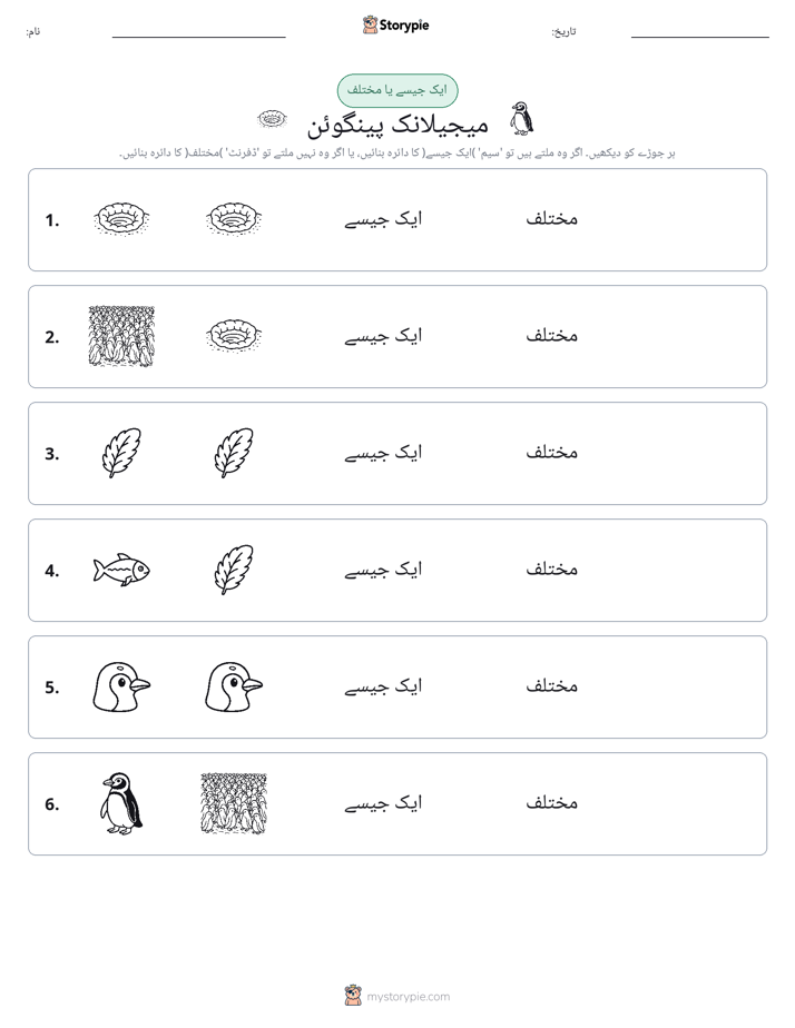 ایک جیسا یا مختلف