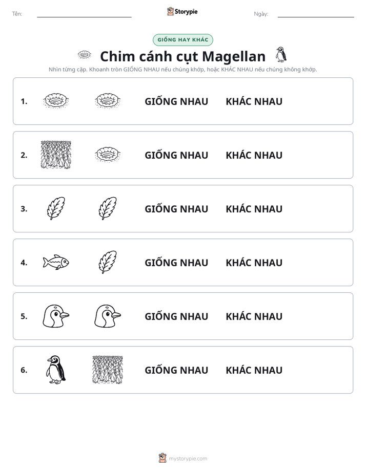 Giống Hay Khác