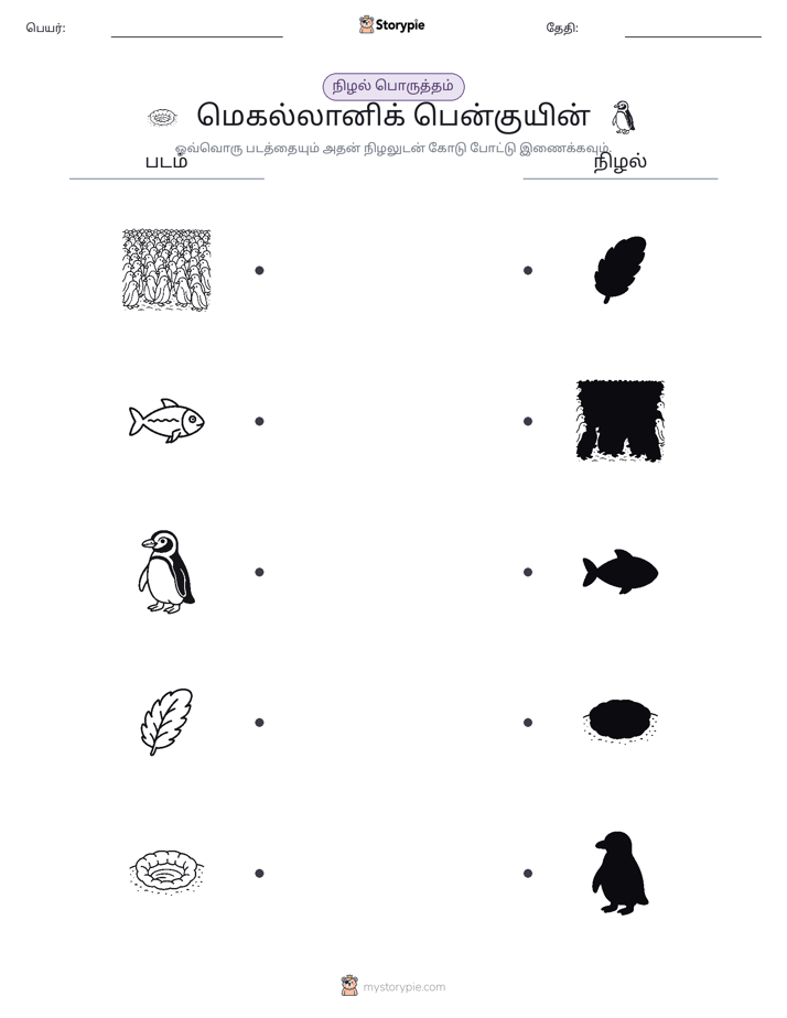 நிழல் பொருத்தம்