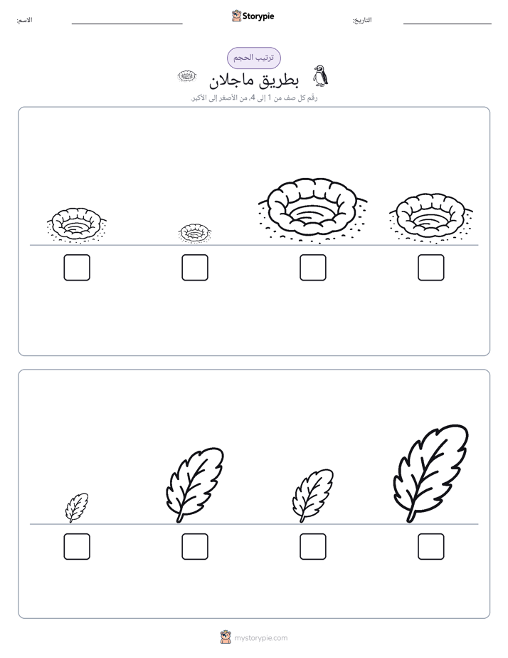 ترتيب الحجم