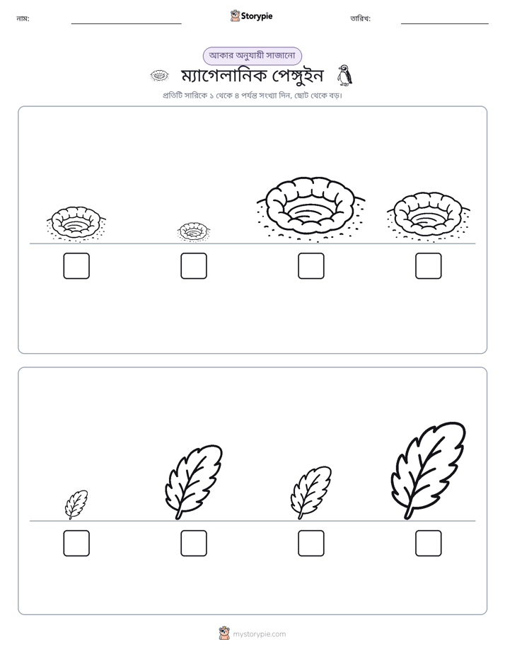 আকারের ক্রম