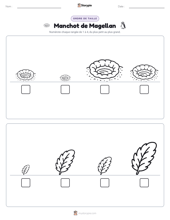 Ordre de Taille