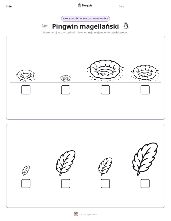 Porządek rozmiarów