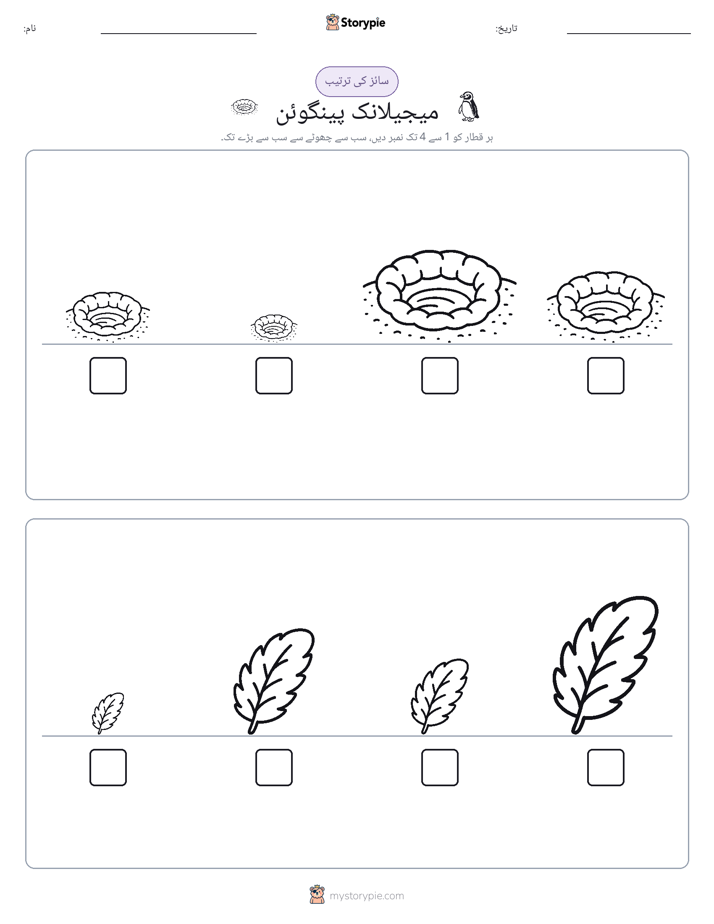 سائز کی ترتیب