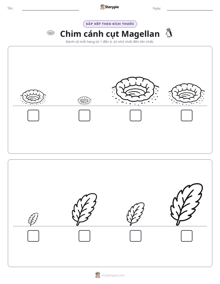 Thứ Tự Kích Thước