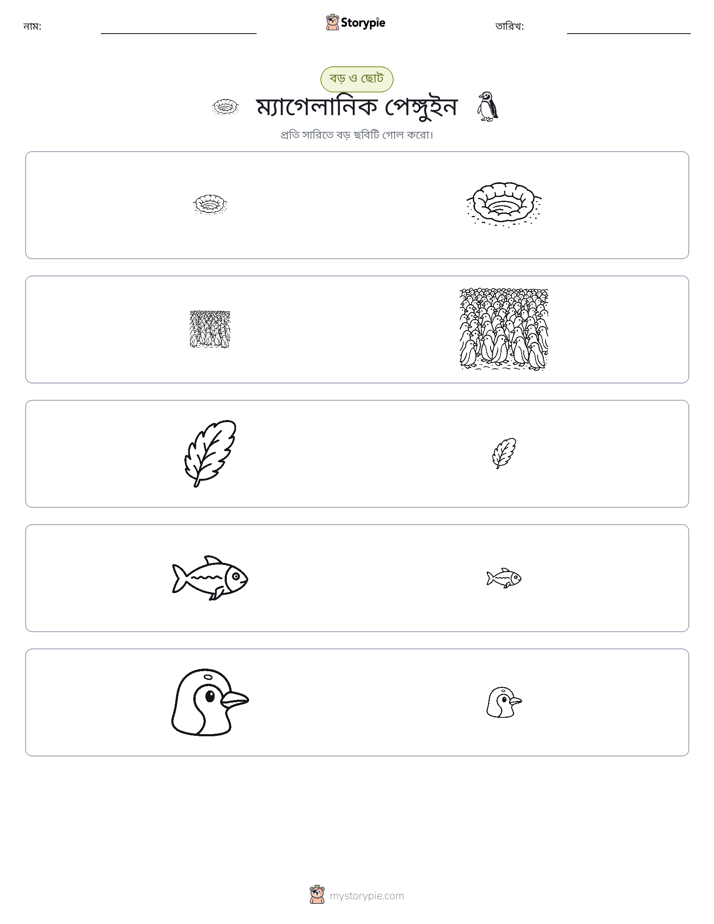 সাজানো