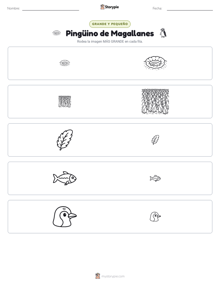 Clasificación