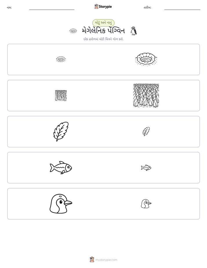 વર્ગીકરણ