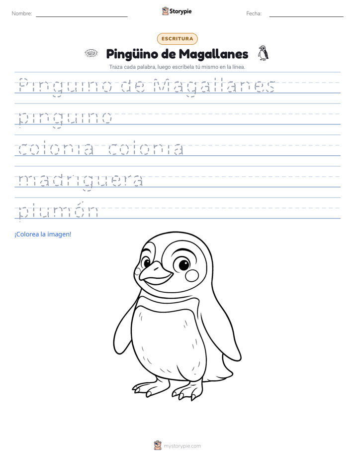 Práctica de Escritura