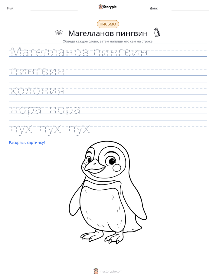 Практика письма