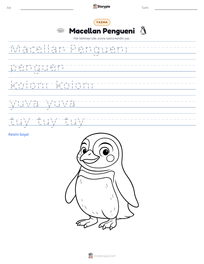 Yazma Pratiği