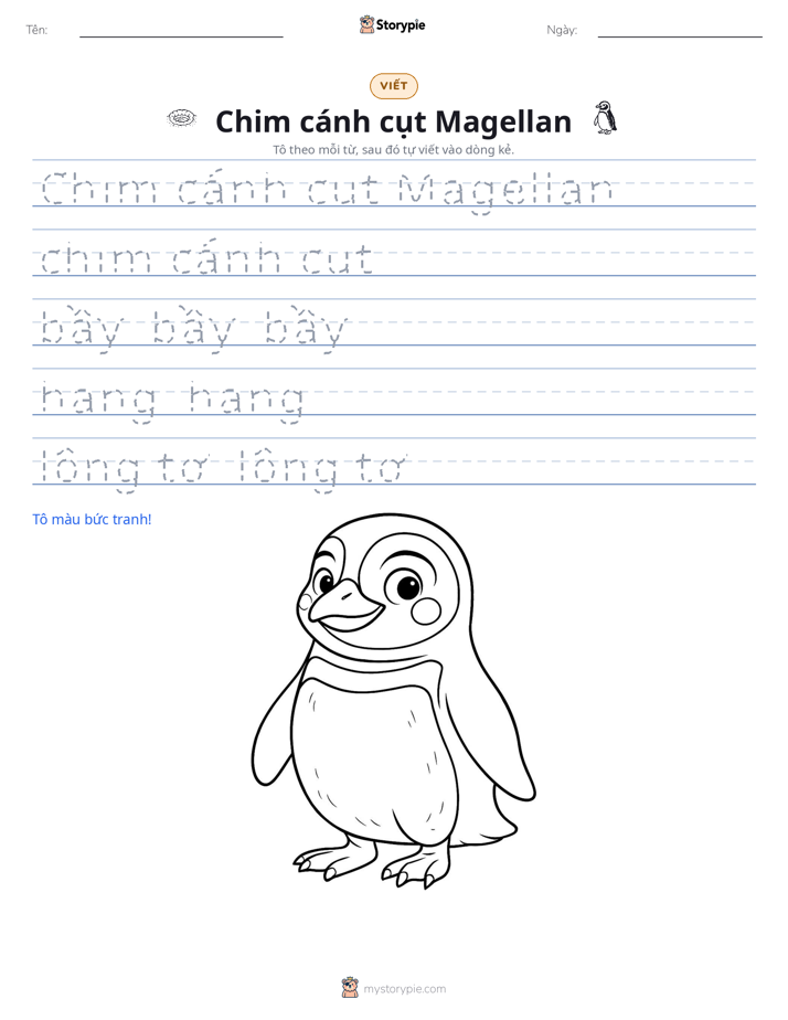 Luyện Viết