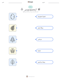 معاينة ورقة العمل القابلة للطباعة أرجنتينوسورس