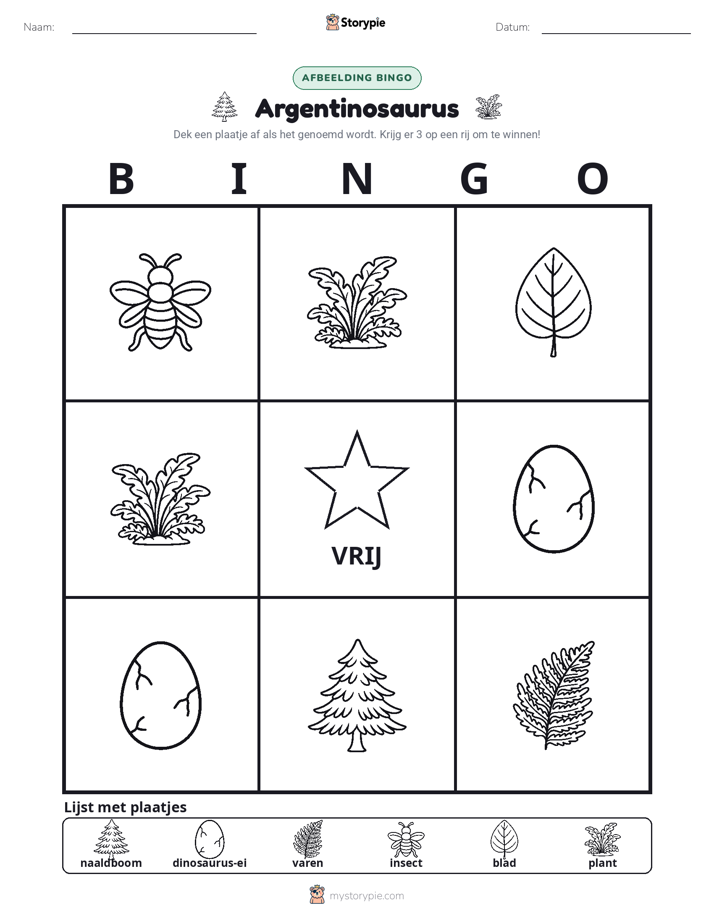 Afbeelding Bingo