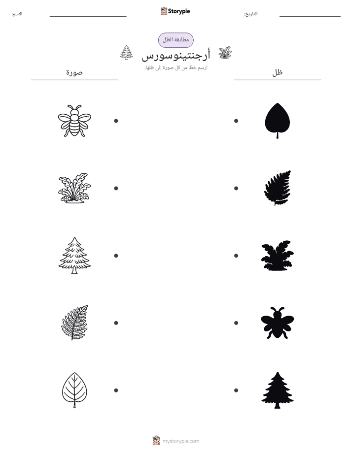 مطابقة الظل