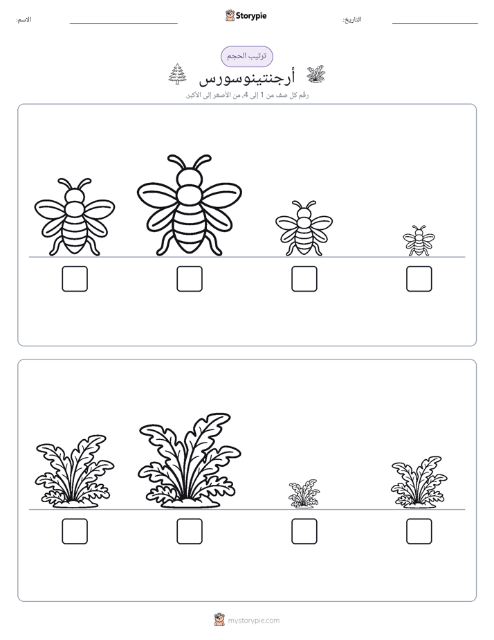 ترتيب الحجم