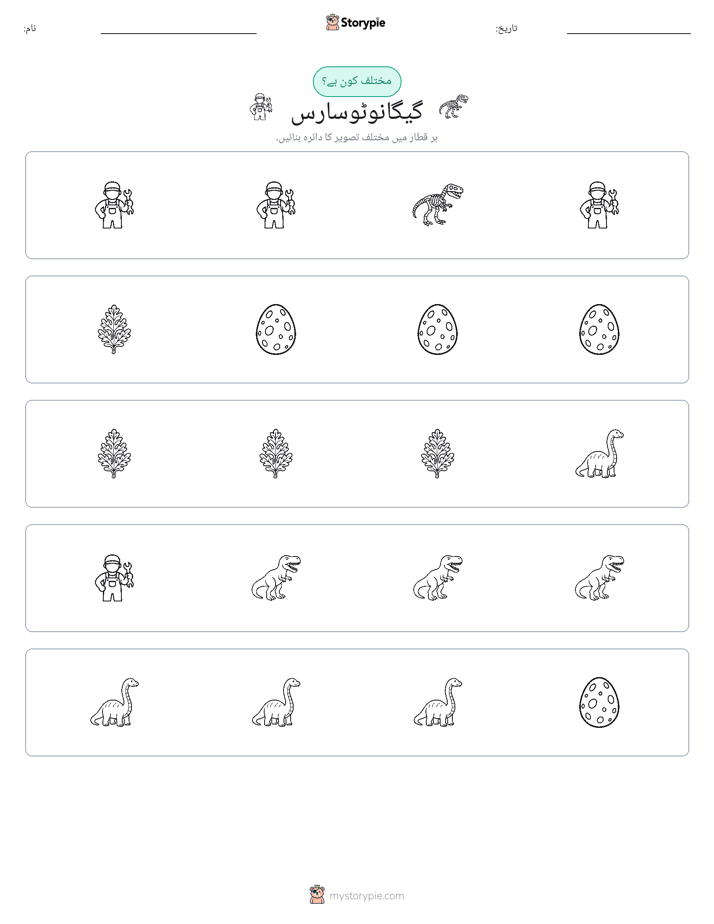 عجیب ایک