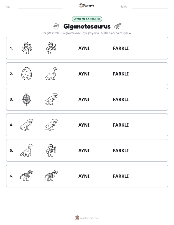 Aynı mı Farklı mı