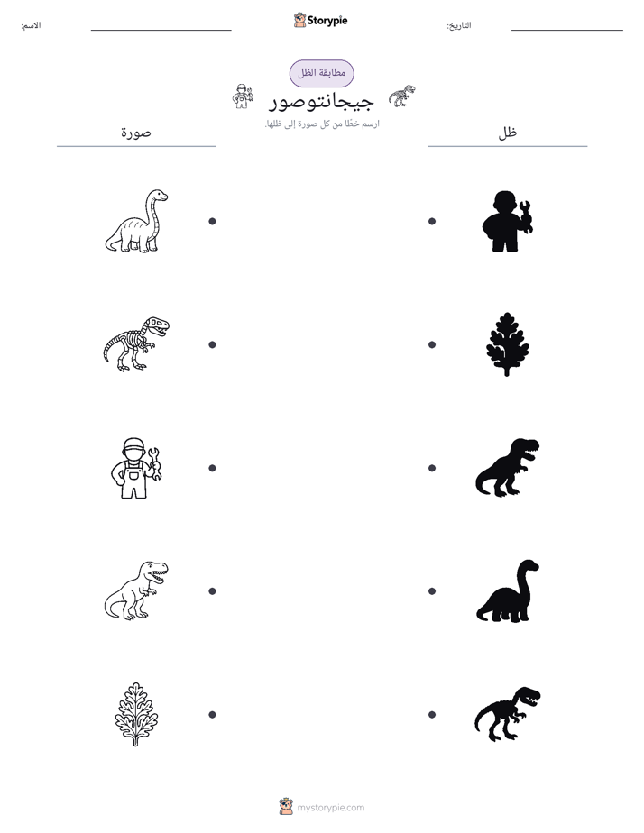 مطابقة الظل