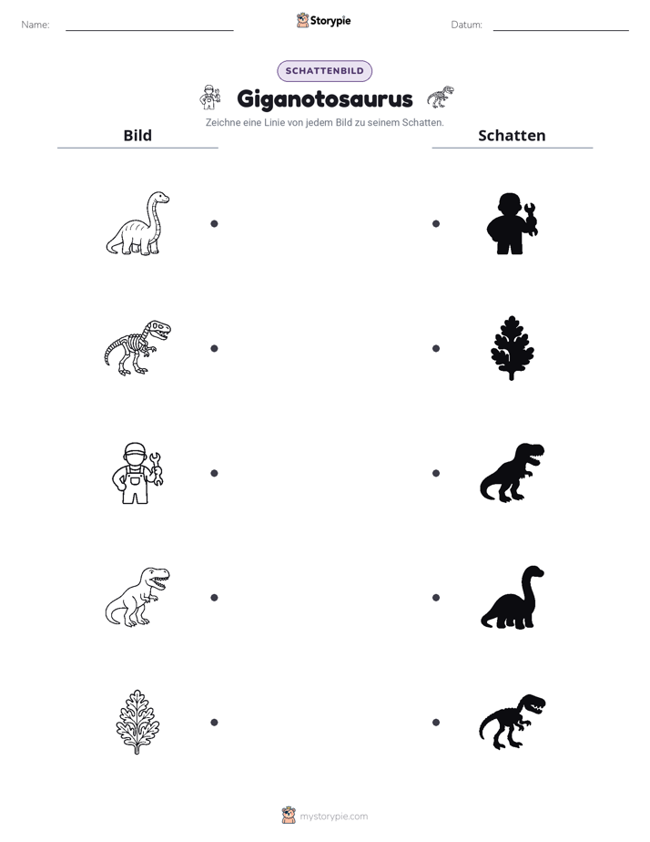 Schattenmatch