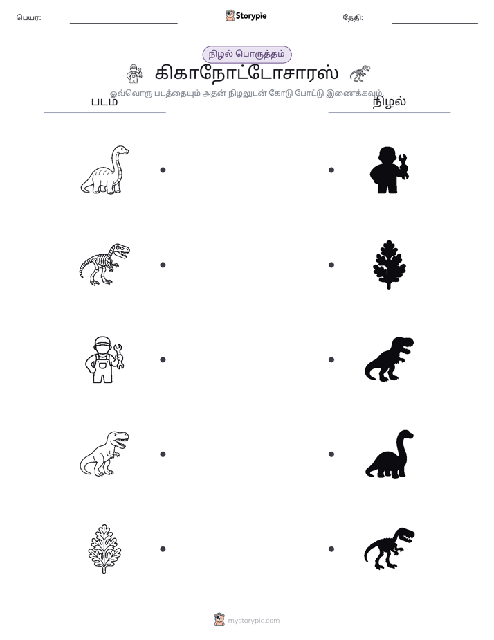 நிழல் பொருத்தம்