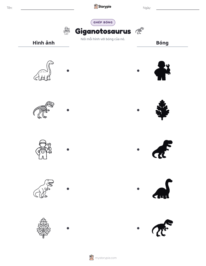 Ghép Hình Bóng