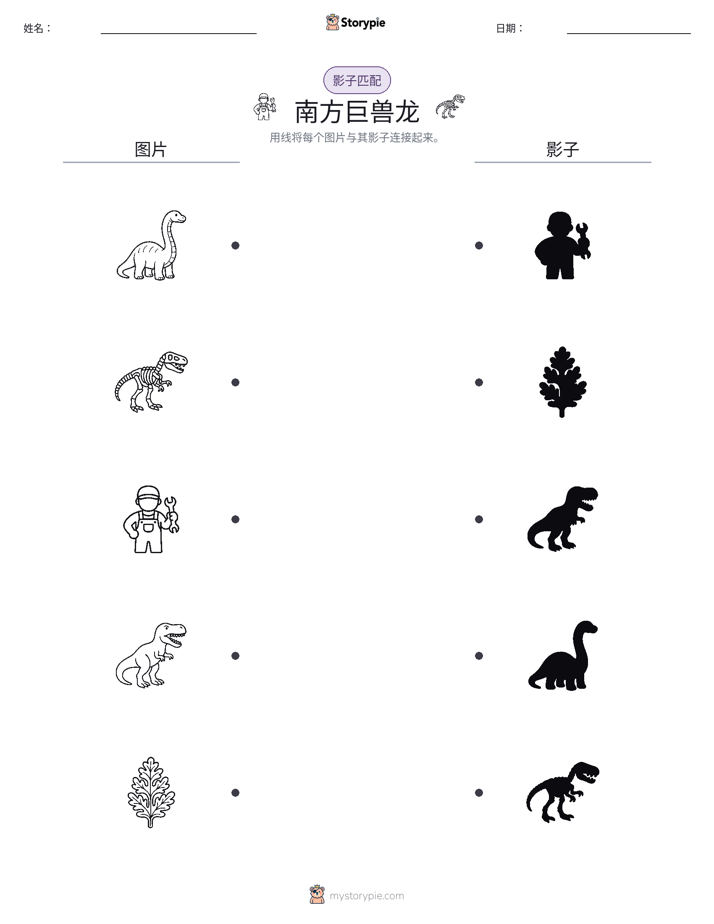 影子匹配