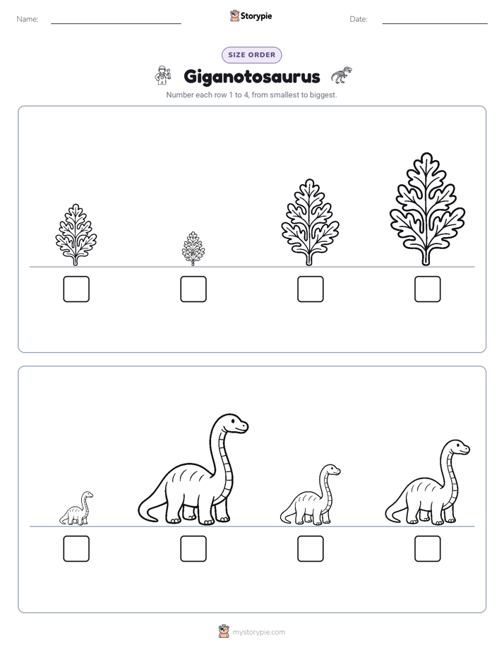 Size Order