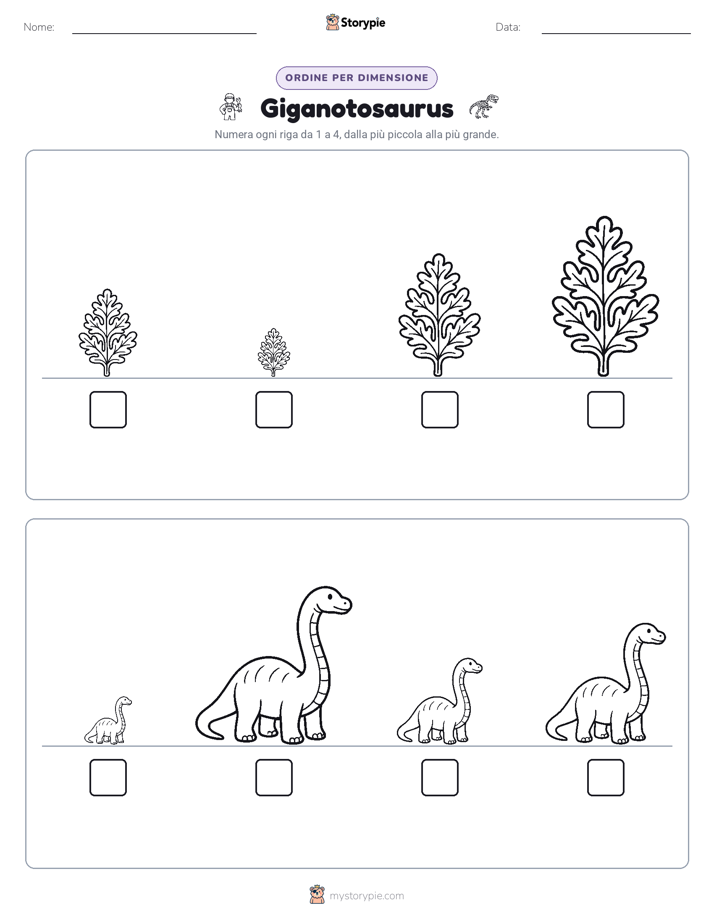 Ordine di Dimensione