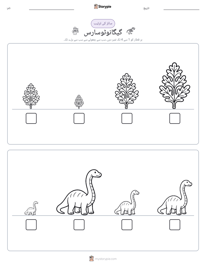 سائز کی ترتیب