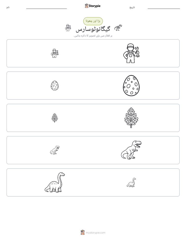 ترتیب دینا