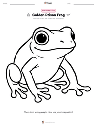 Golden Poison Frog printable worksheet preview