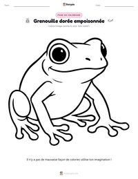 Aperçu de la feuille de travail imprimable Grenouille dorée empoisonnée