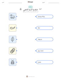 معاينة ورقة العمل القابلة للطباعة ضفدع السم الذهبي