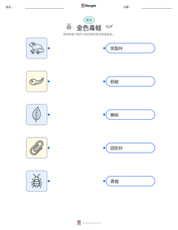 金色毒蛙 可打印工作表预览