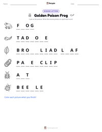 Golden Poison Frog printable worksheet preview